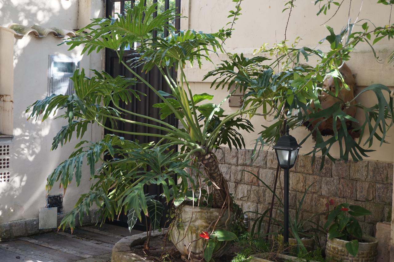 Pouso Da Garca Bed and Breakfast Cabo Frio Eksteriør billede